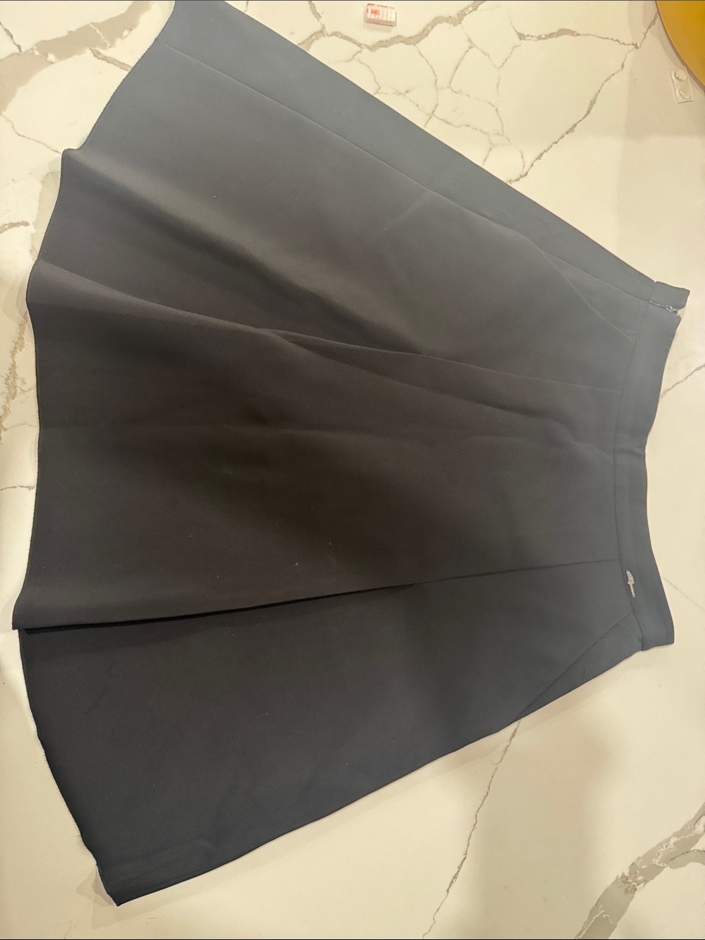 Black Circle Skirt with Clean Pleats